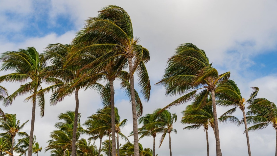 Florida - Wind Design and Wind Mitigation Requirements